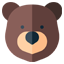 bear